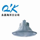 NGC9830-N250、永嘉海洋王NGC9830